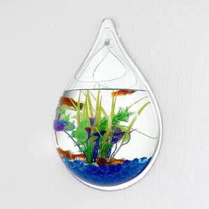半圆形花盆挂墙墙上鱼缸壁挂式玻璃花盆水培透明客厅挂饰小花瓶