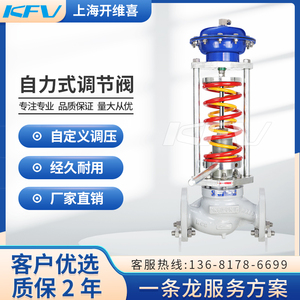 上海开维喜ZZYP自力式蒸汽压力调节阀气体自动减压稳压氮气调压阀