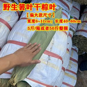 包粽子的叶子干粽叶商用5斤新鲜大号子叶粑粑端午节农家大叶挑选