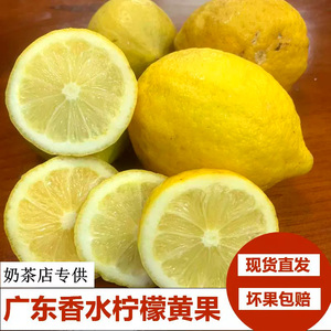广东香水柠檬黄果当天现摘现发新鲜薄皮厚皮无籽当季奶茶店专用