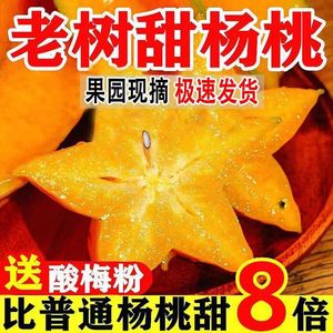 福建漳州甜杨桃5斤香蜜新鲜水果整箱应当季红龙五角星杨阳桃6