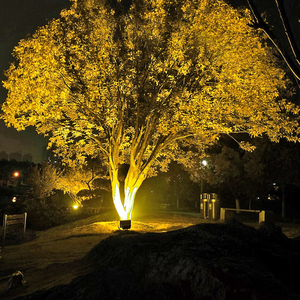 七彩led照树灯景观射灯户外防水投光灯室外庭院灯花园插地绿化灯