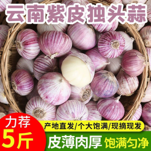 2024年农家独头蒜精品大干蒜湿蒜厨房调料非干蒜紫皮大蒜5斤