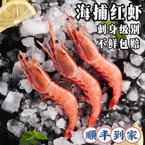 野生红虾鲜活速冻舟山海虾甜虾刺身深海野生虾大虾鲜活冷冻海虾
