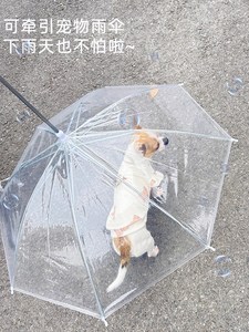 狗狗雨伞柯基雨衣小型犬宠物泰迪小狗带加大加固链子透明用品遛
