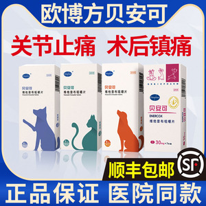 贝安可止疼药维他昔布咀嚼片宠物猫咪狗狗关节炎止痛抗炎镇痛绝育