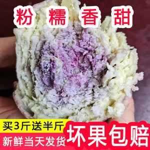 正宗一点红红薯广东粉糯地瓜板栗薯山芋新鲜现挖冰淇淋番薯紫心薯