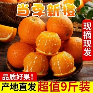 秭归夏橙脐橙1春橙当季新鲜水果湖北宜昌橙子手剥伦晚甜橙整箱
