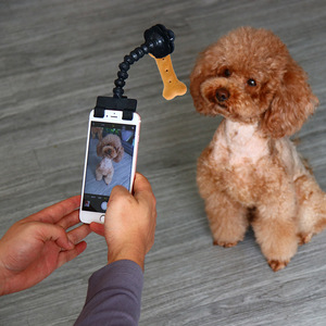 宠物拍照自拍杆猫咪狗狗看镜头自拍器吸引注意力神器零食夹手机夹