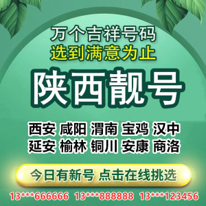 陕西西安咸阳渭南宝鸡电信5G手机电话号码卡靓号定制