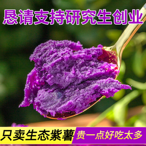 紫薯新鲜地瓜紫心蜜薯种薯现挖沙地番薯山芋农家自种蔬菜5斤包邮