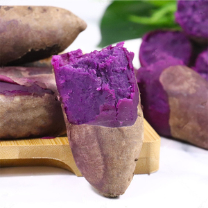 山东紫薯机械伤虫洞不影响食用粉糯香甜五斤带伤口或虫洞