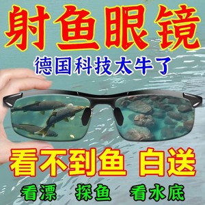 钓鱼眼镜可见水下三米看漂专用开车射鱼变色太阳镜高清偏光男墨镜