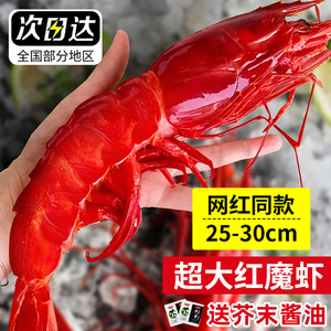 红魔虾鲜活刺身超大甜虾刺身虾海鲜生吃即食西班牙水产顺丰包邮