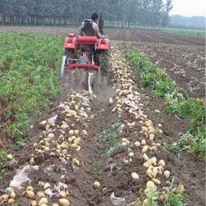 土豆收获机四轮拖拉机刨地瓜y大小型挖马铃薯机器多功能红薯收割