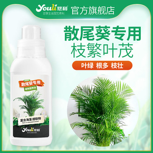 悠利散尾葵专用肥料浓缩营养液凤尾竹颗粒防黄叶植物通用型