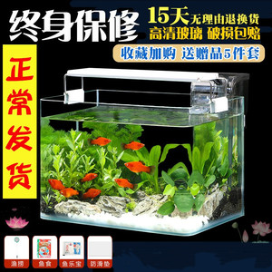 养虾专用缸养龙虾专用缸养龙虾的水族箱金鱼缸家用小型客厅玻璃缸