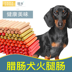 腊肠犬专用零食火腿肠香肠小型幼犬宠物狗狗吃的2个月奶狗