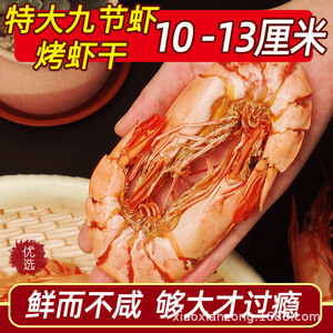 九节虾干500g烤虾干即食大号特大干虾非特级大竹节虾海虾海鲜干货