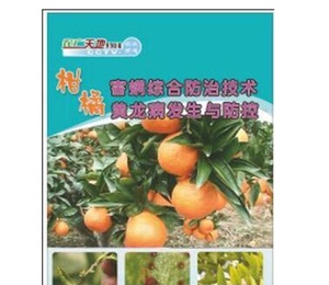 沃柑栽培技术红美人柑橘爱媛柑桔种植管理视频大全6视频6书籍包邮