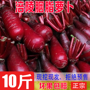 重庆涪陵特产 胭脂萝卜红皮红心新鲜紫美人萝卜泡菜专用红心萝卜