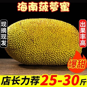 菠萝蜜海南产地直发黄肉干包菠萝蜜一整个10-40斤收到分辨生熟