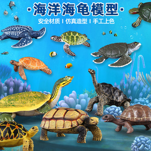 仿真海洋野生动物乌龟模型玩具海龟陆龟象龟巴西龟儿童认知摆件