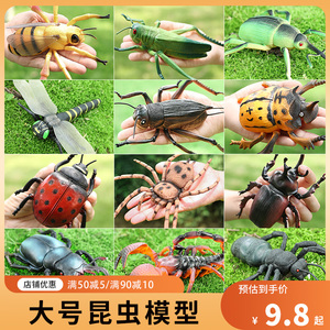 仿真昆虫玩具蚂蚁模型蝎子蜘蛛瓢虫蚂蚱蜻蜓儿童科教认知礼物教学