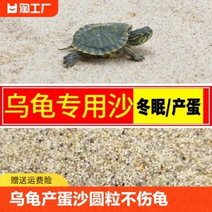 乌龟专用砂冬眠爬宠砂天然细河沙鱼缸铺底造景螃蟹陆龟孵化产蛋沙