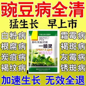 豌豆专用药病全治荷兰角苗类灰霉锈白粉黑星疫病害清虫叶面肥农药