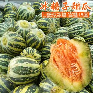 冰糖子甜瓜种子超甜花蜜特甜香瓜高产夏季种籽孑 阳台盆栽瓜籽