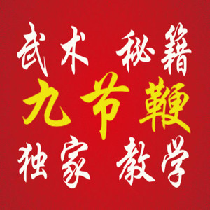 中华武术九节鞭视频教程传统武术九节鞭视频教学