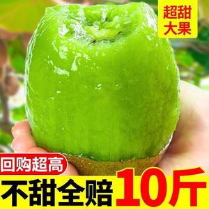 陕西周至亚特猕猴桃新鲜10斤大果当季水果绿心现摘奇异果整箱