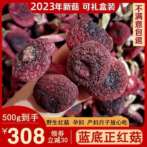 正宗野生蓝底正红菇500g干货福建三明特级红菌月子小红菇红蘑菇