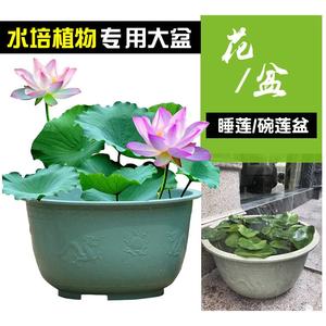 特大号圆形加厚水培无孔荷花盆睡莲碗莲花专用塑料花盆龙缸盆无托