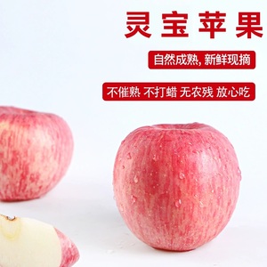 灵宝苹果寺河山红富士一级精品冰糖心新鲜水果10斤河南三门峡洛川