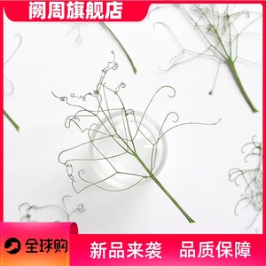 豌豆苗干花干草装饰植物标本画叶子相框书签滴胶压花材料包