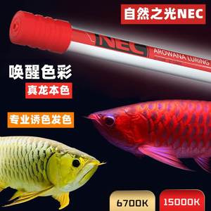 日本NEC龙鱼专用发色灯增色仟鱼三基色鱼缸灯红龙金龙鱼灯潜水灯