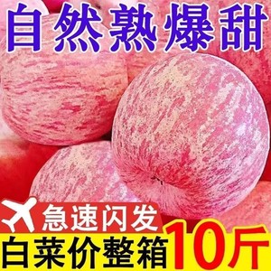 【精选大礼盒】山西冰糖心苹果水果红富士苹果脆甜丑苹果现摘现发