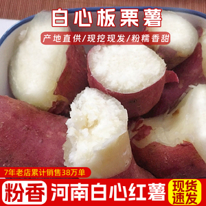 白心板栗薯新鲜红薯栗子香白薯白瓤地瓜红皮白心红薯干粉番薯10斤
