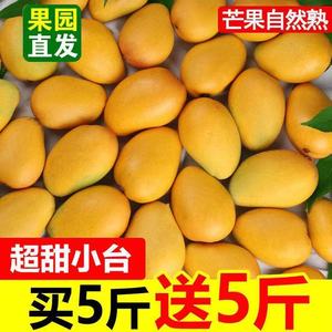 【买5斤送5斤】广西百色台农芒果鸡蛋芒果3/5/9斤