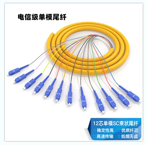 SC束装尾纤12芯光纤跳线万兆多模单模熔纤式尾纤跳线大方头电信级