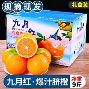【精美礼盒】九月红秭归脐橙果冻橙新鲜应当季水果9斤手剥甜橙子