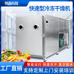 领晶大型冻干机水果蔬菜茶叶食品虫草中药医药商用真空冷冻干燥机
