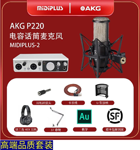 AKG/爱科技 P220大振膜电容话筒 录制人声 乐器 箱琴 铜管麦克风