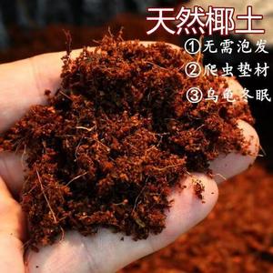 散装椰土乌龟冬眠垫材花卉多肉养殖用土仓鼠金丝熊蜗牛垫料免泡发