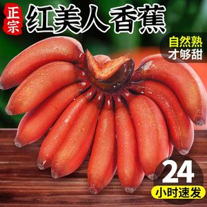福建漳州红皮香蕉新鲜当季水果红美人蕉火龙蕉贵妃蕉醉美人香蕉