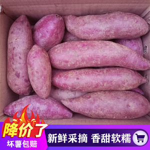 紫薯新鲜板栗紫心番薯地瓜蜜薯糖心10斤山芋烟薯香薯蔬菜农家自种