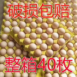 正宗土鸡蛋新鲜农家散养土鸡蛋野外天然草鸡蛋10枚20枚30枚40枚