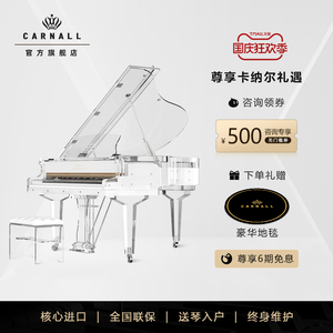 卡纳尔/CARNALL梦幻系列 奢华水晶三角钢琴A16 高端透明钢琴家用